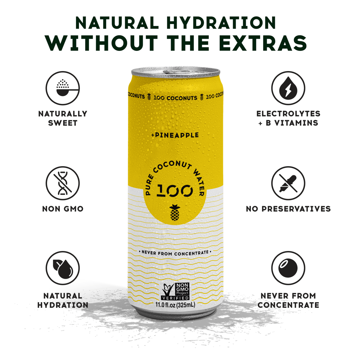 PURE COCONUT WATER + PINEAPPLE
