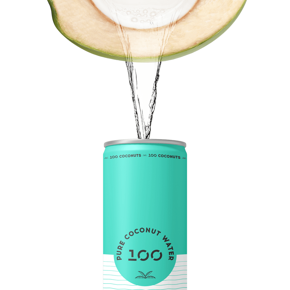 PURE COCONUT WATER 11oz