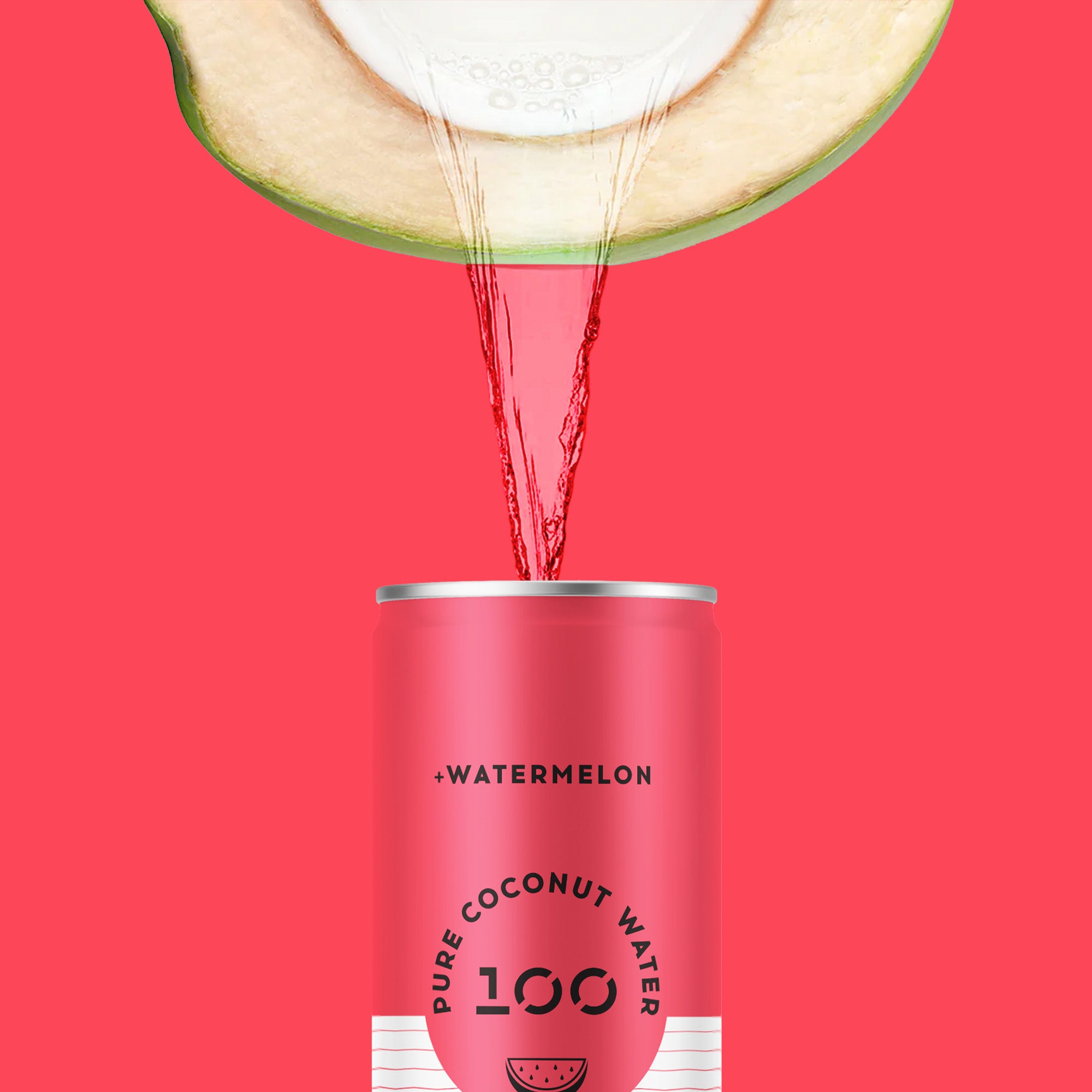 PURE COCONUT WATER + WATERMELON